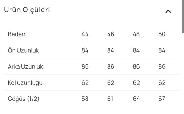 B. BEDEN GOLD DÜĞME DTY. CEPLİ GÖMLEK /SEÇİL 4015